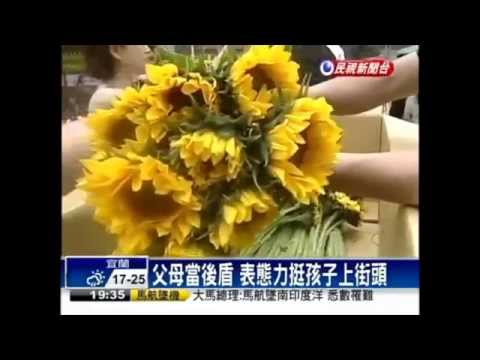 太陽花公民運動紀錄　勿忘324鎮壓　張懸《玫瑰色的你》