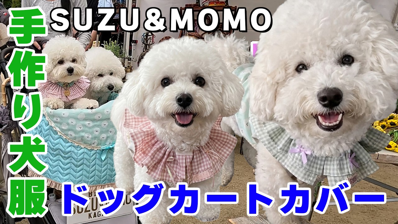 For events in the Kansai area!] Making dog clothes and cart covers