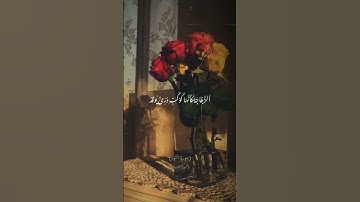 #سورة #النور #المنشاوي@9li9 @القرآن_الكريم @مينهمحمد-و2م@Freepalistine-d3i #like #holyquran