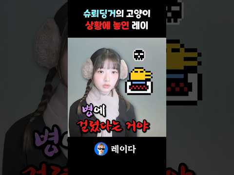 다마고치 키우던 아이브 레이 슈뢰딩거의 고양이 상황에 놓이다