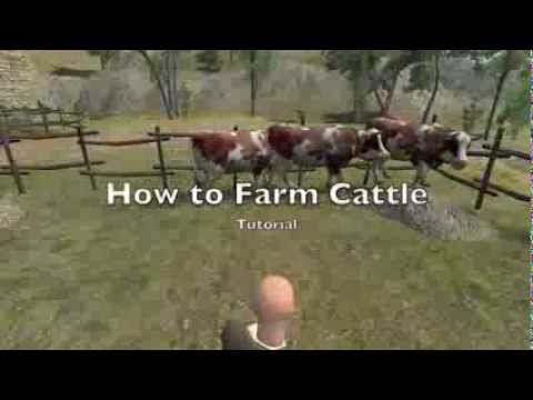 mount and blade warband buy cattle