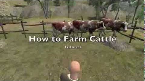Warband Mount and Blade Persistent World - How to Farm for Cattle Tutorial