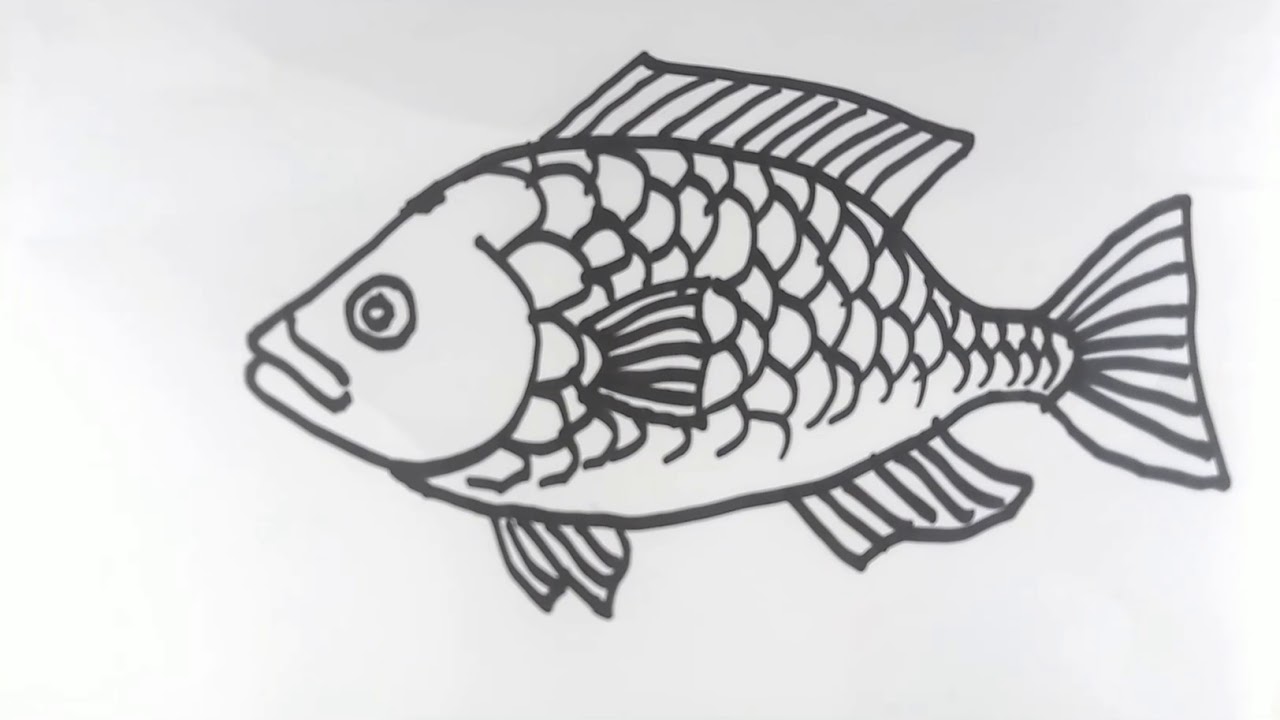Art tutorials on Kane's Art Show / How to draw a Fish / How to draw a