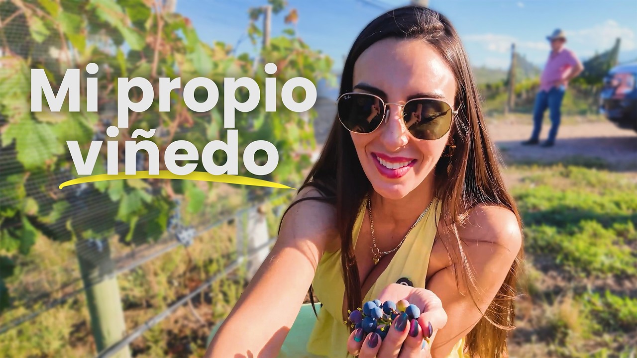 Me compré un viñedo en Argentina, la uva es la más rica.