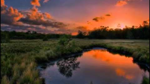 سورة يس - يوسف كالو _ Surat Yassine - Yousef Kalo