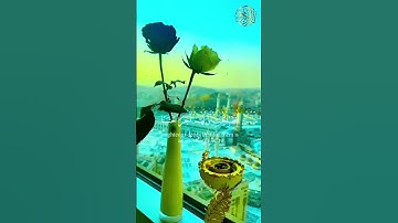 ماتيسر من #سورة_الكهف #سعد_الغامدي #تلاوة_خاشعة #القرآن_الكريم #اكسبلور #الحرم_المكي