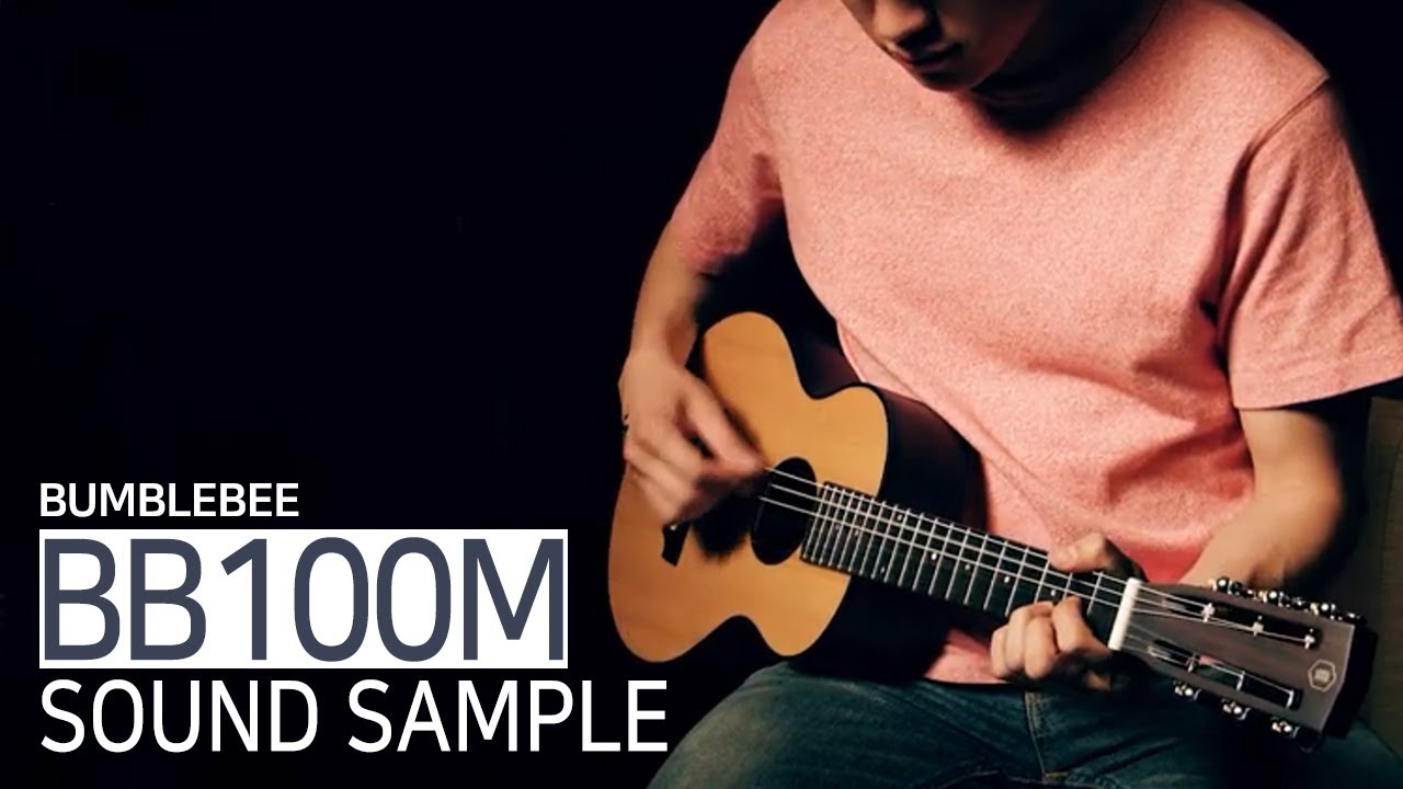 HEX INSTRUMENTS BB100S アコースティックギター Hex Bumblebee Super Mini Series BB100S M Acoustic Guitar