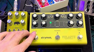 Strymon Volante vs Bison Echorec by UDV Pedals