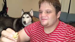 Kracie Kitchen Burgers