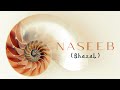 Naseeb ghazal  feel jagjit singh  heart touching ghazal  uma shankar dr deepak shubham