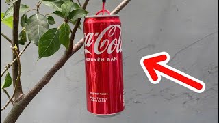 Hàng tỷ người không biết! Treo một lon Coca-Cola trên cành cây và kết quả kỳ diệu. screenshot 4