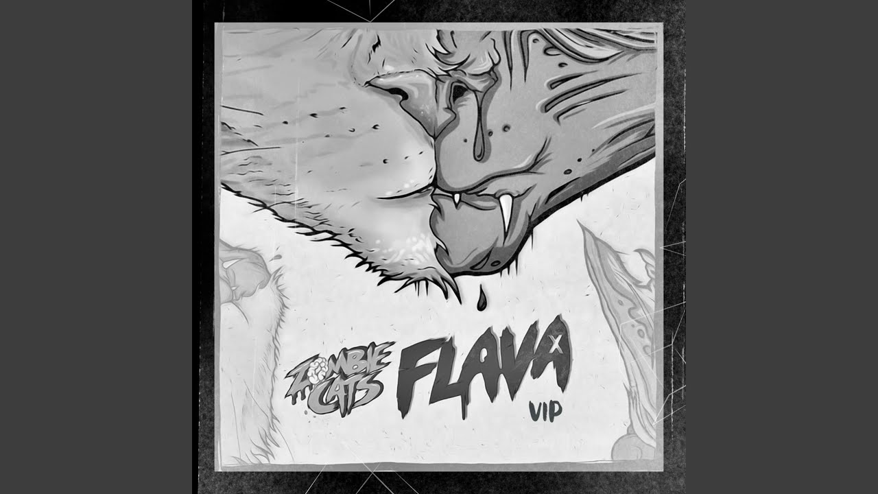 Sleduj FLAVA VIP na YouTube