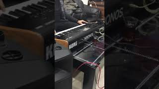 Kork Kronos Keman Uzun Hava 2019 Yaylilar