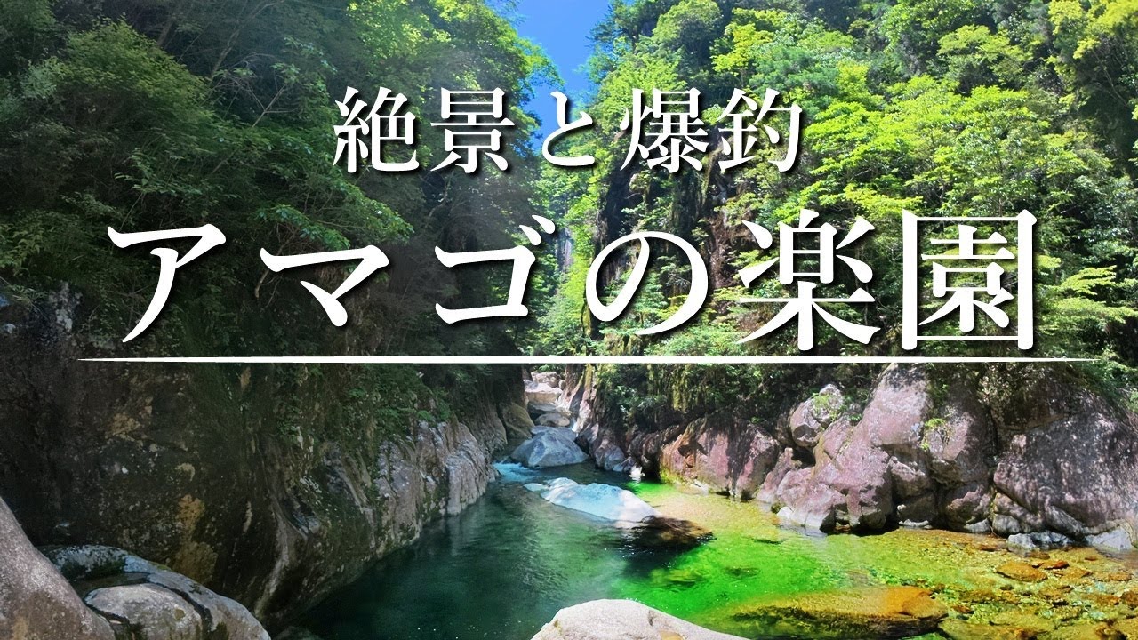 天然アマゴ爆釣！地獄の谷に存在した渓流釣りの楽園へ…！【天国の中流域編】