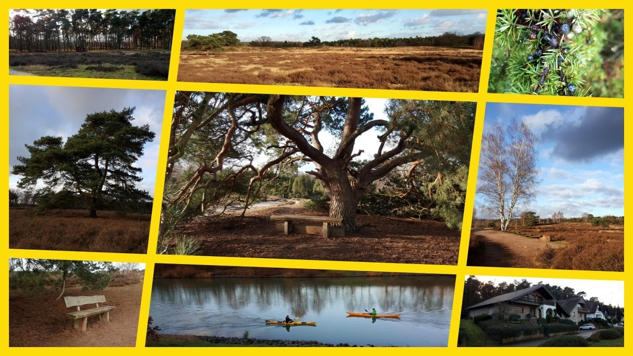 #65 - Westruper Heide, Stausee & Umgebung (Haltern)