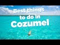 Things to do in Cozumel on a cruise