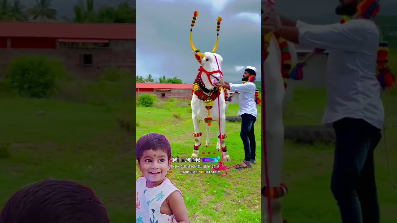 Surya bail pola video 