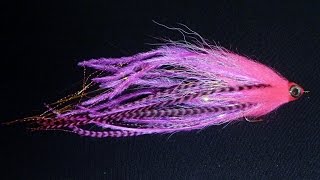 Pinky s 19