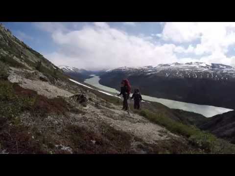Six day trek in the Coast Mountains, Yukon