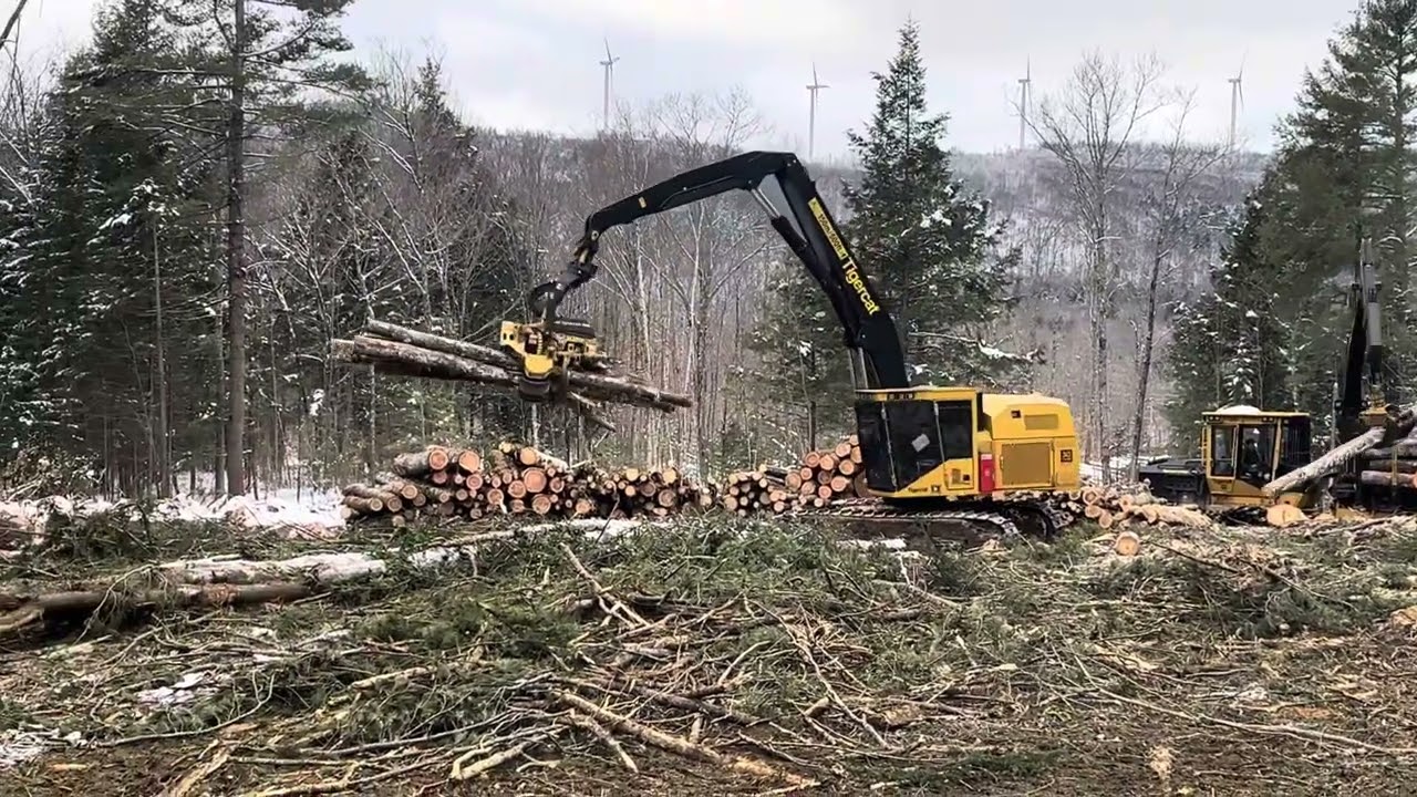 Prossesor working in the Maine woods #tigercat #masterlogger #855E #1075c #irishlogging
