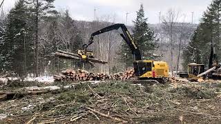 Prossesor working in the Maine woods #tigercat #masterlogger #855E #1075c #irishlogging