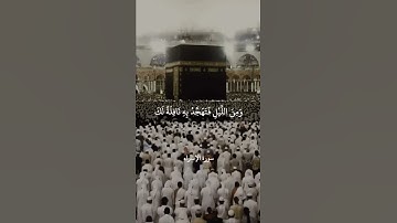 أقم الصلاة لدلوك الشمس إلى غسق الليل وقرآن الفجر إن قرآن الفجر كان مشهودا -من سورة الإسراء -علي جابر