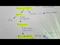 Interpretation of LFTs (Liver Function Tests) - YouTube