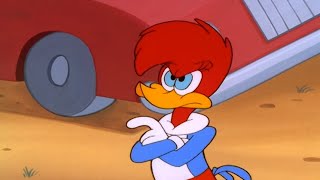 Pica-Pau | Winnie cai em um golpe | 2 Episódios Completos | Desenhos Animados em Português