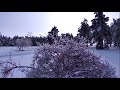 Зимние краски. Зимние контрасты. Зимний футаж в 4к 2160р. Релакс-видео. После снегопада.