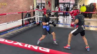 16 year old King Robert Meriwether lll sparring pro boxer