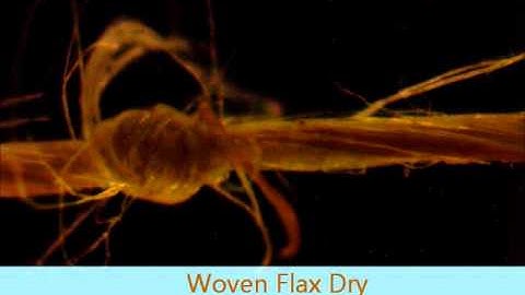 Tensile test of Woven Flax fibers (effect of knots and specimen conditions)