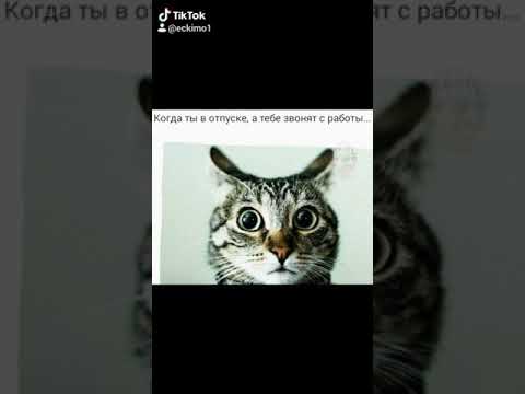 увидели картинки когда звонят с работы будет появляться
