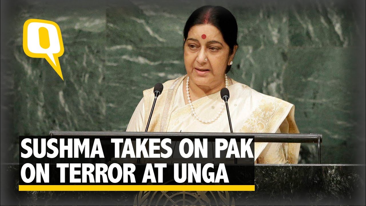 Sushma Talks Tough On Terror At Unga Youtube