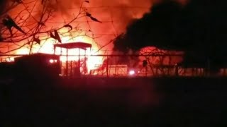 Barn fire kills 10 animals at Safari Park