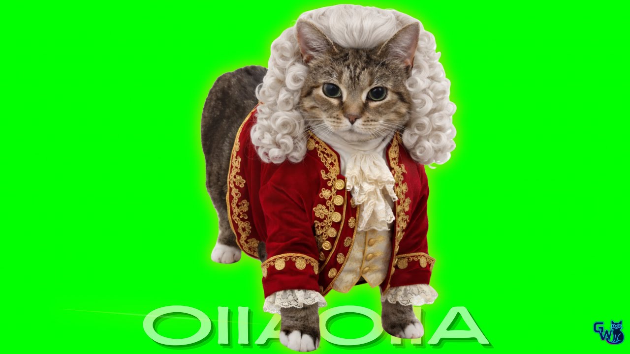 OIIAOIIA CAT - BEETHOVEN - Spinning Cat (TECHNO REMIX) Cat Brainrot Video