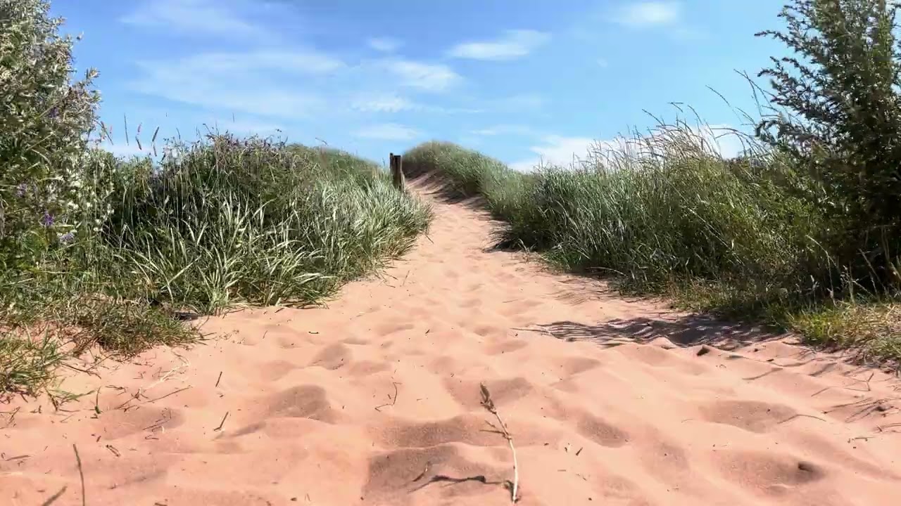 Sandy beach trail on PEI