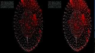 - Hyper 3D - 桑名水郷花火 2012