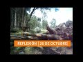 26 DE OCTUBRE | NO SÉ A DÓNDE ME LLEVARÁ ESTO