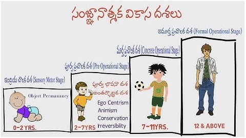 జీన్ పియాజే వికాస సిద్ధాంతం । Piaget’s Theory | AP DSC | TRT | TET | C TET