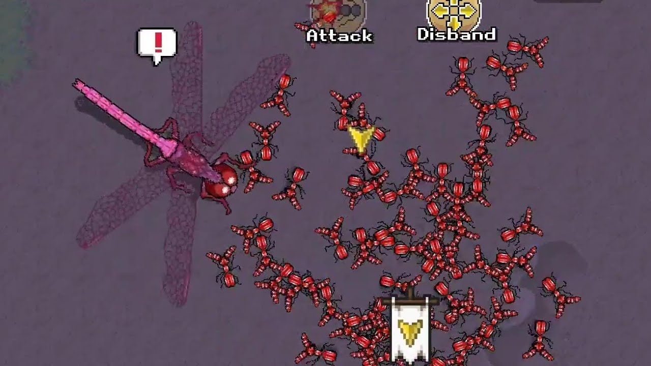 Valentine's Event 2023 Pocket Ants YouTube