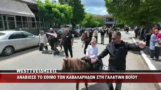 ΓΑΛΑΤΙΝΗ ΤΟ ΕΘΙΜΟ ΤΩΝ ΚΑΒΑΛΑΡΗΔΩΝ