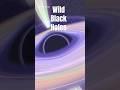BLACK HOLES ARE WILD