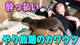 お姉さんが酔っ払っているとカワウソは全力で悪さをしますw【しゃもじ】
