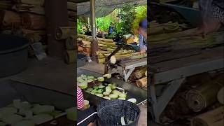 proses dan teknik memotong pohon pisang #shorts