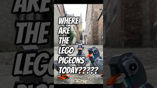 Download Lagu LEGO. Do you know where the LEGO pigeons are today? #lego #birds #shorts MP3 Download Lagu LEGO. Do you know where the LEGO pigeons are today? #lego #birds #shorts MP3