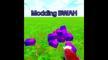 Modding Bwah