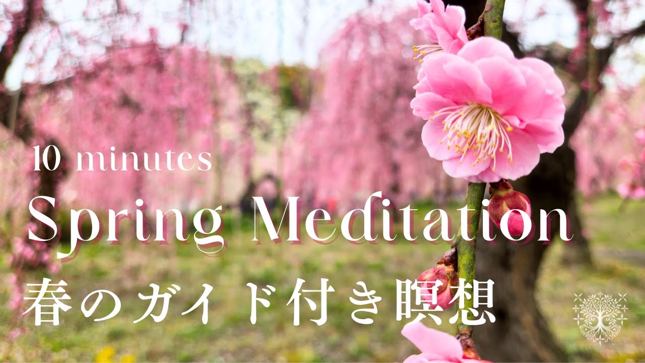 春の瞑想（ガイド付き瞑想）