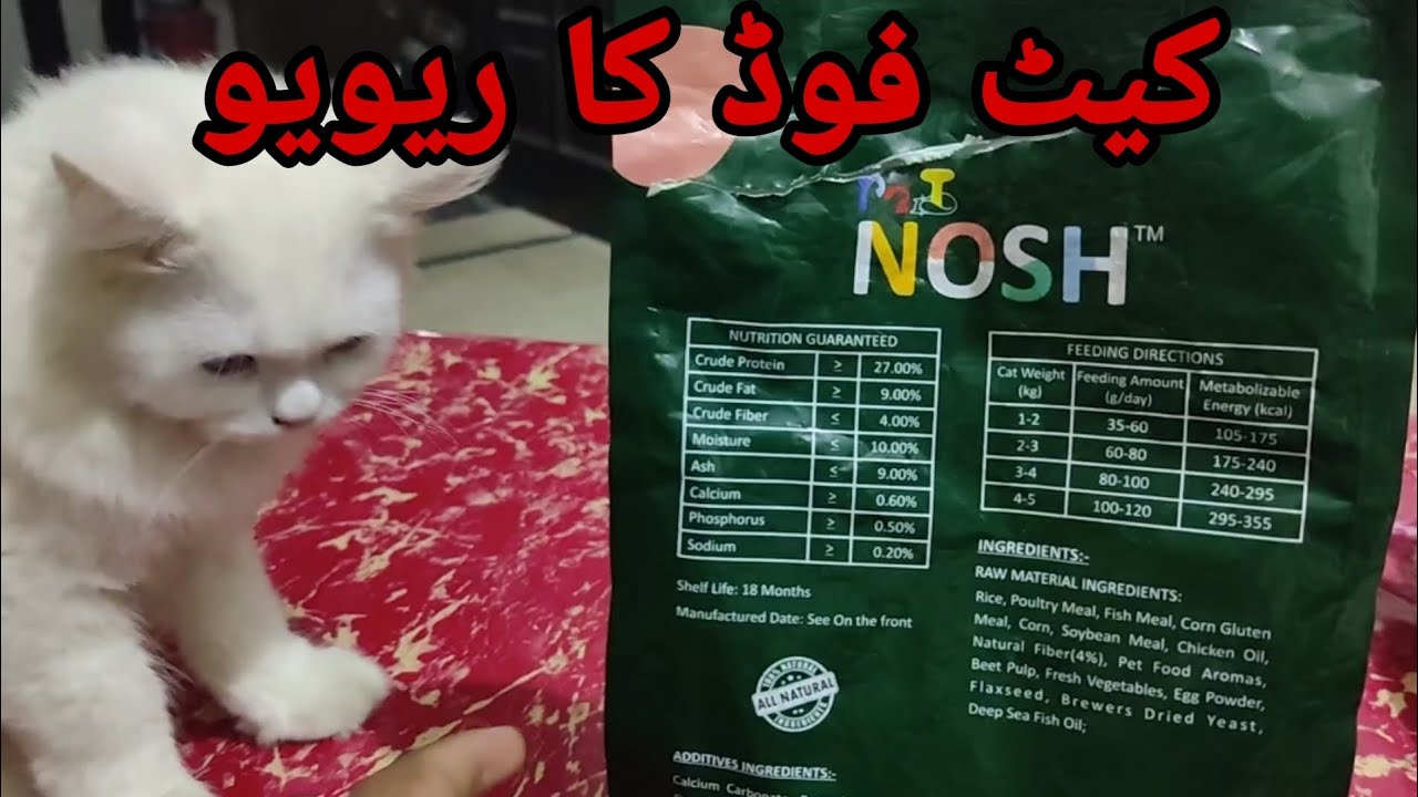 HONEST REVIEW OF NOSH CAT FOOD IN URDU hen farming cat animals L