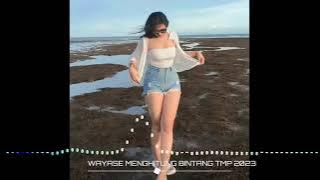 WAYASE ‼️ MENGHITUNG BINTANG TMP PUNYA🔥2023🌴🌴