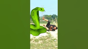 Anaconda snake in real life P86#shorts #short #snake #nagin #python #anaconda #snakes #bigsnake
